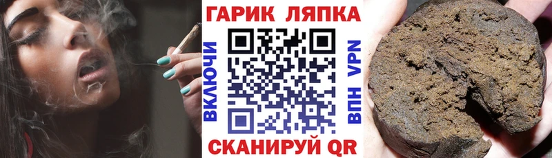 Купить  Скопин  ГАШ Изолятор 