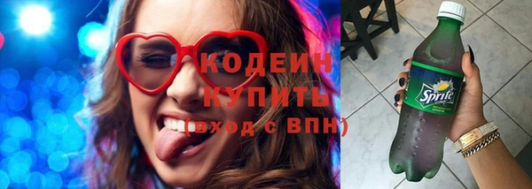 ПСИЛОЦИБИНОВЫЕ ГРИБЫ Гусев