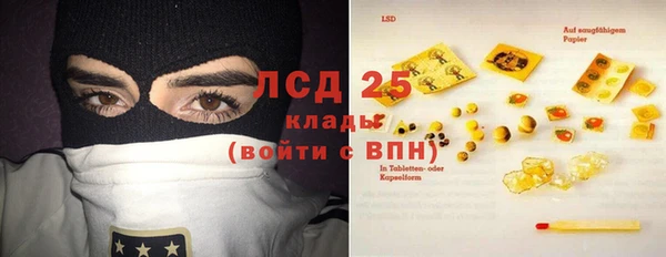 стаф Дмитриев