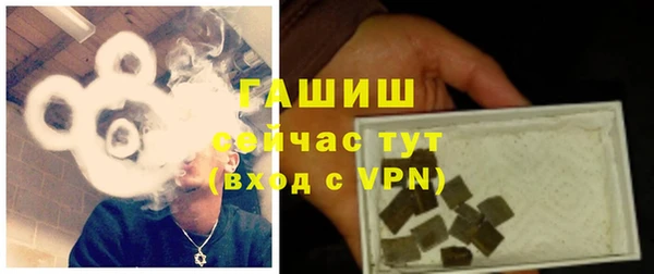 стаф Дмитриев