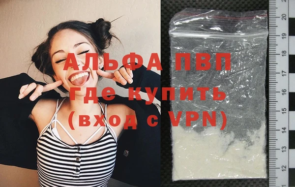 стаф Дмитриев
