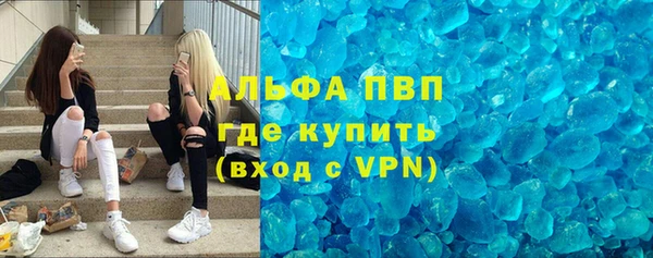 ПСИЛОЦИБИНОВЫЕ ГРИБЫ Гусев