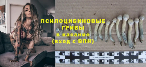 стаф Дмитриев