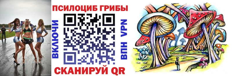 Купить  Скопин  Галлюциногенные грибы Psilocybine cubensis 