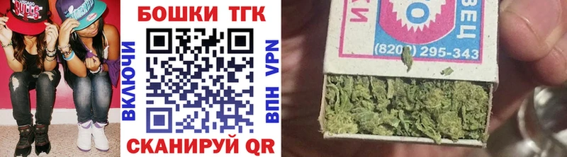Купить закладки  Скопин  Шишки марихуана Amnesia 